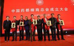 楊文龍董事長當(dāng)選中國藥都樟商總會會長